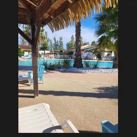 Camping Bien Dans Le Sud Fréjus